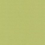 Papel de parede 42067-60
