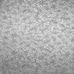 Papel de parede J452-09

