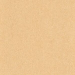 Papel de-Parede liso laranja 6370-23